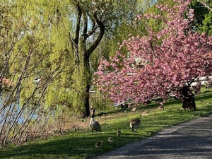 IMG_7308